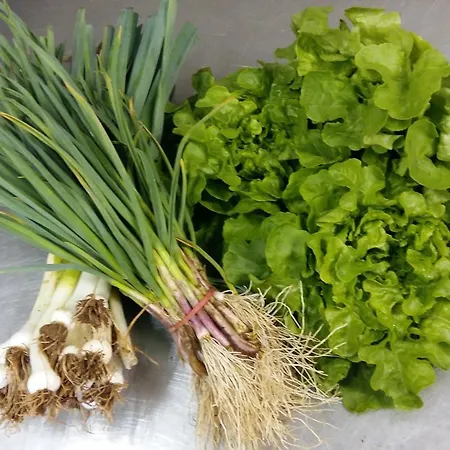 מלון Logis Le Centre Poitou Coulombiers (Vienne)