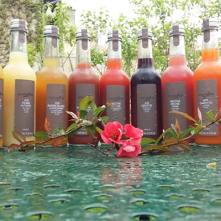 Logis Le Centre Poitou מלון 3*