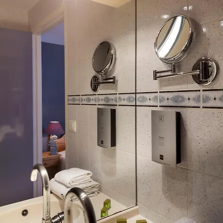 מלון Logis Le Centre Poitou 3*