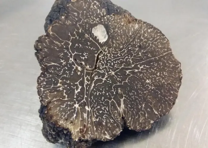 Logis Le Centre Poitou 3* Coulombiers (Vienne)