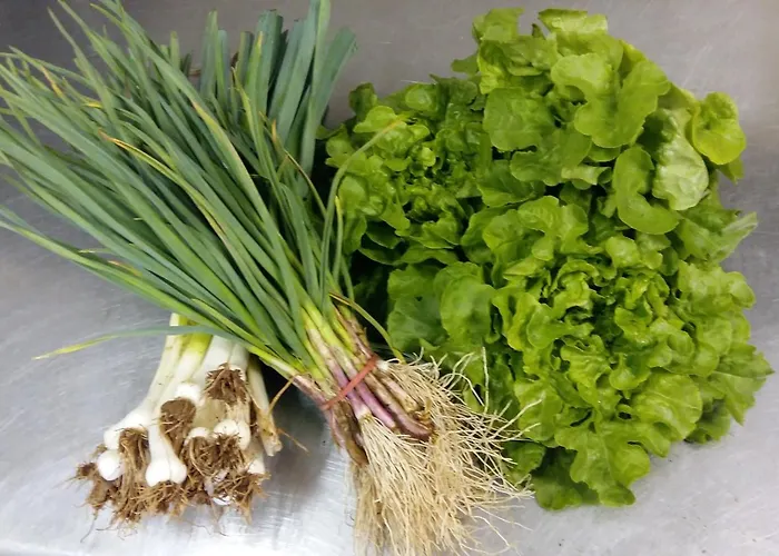 Hotel Logis Le Centre Poitou Coulombiers (Vienne)