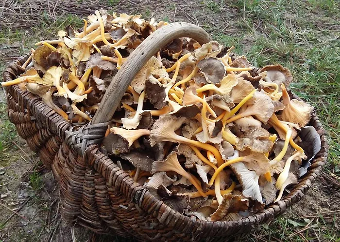 Hotel Logis Le Centre Poitou 3*