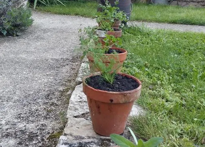 Logis Le Centre Poitou Hotel