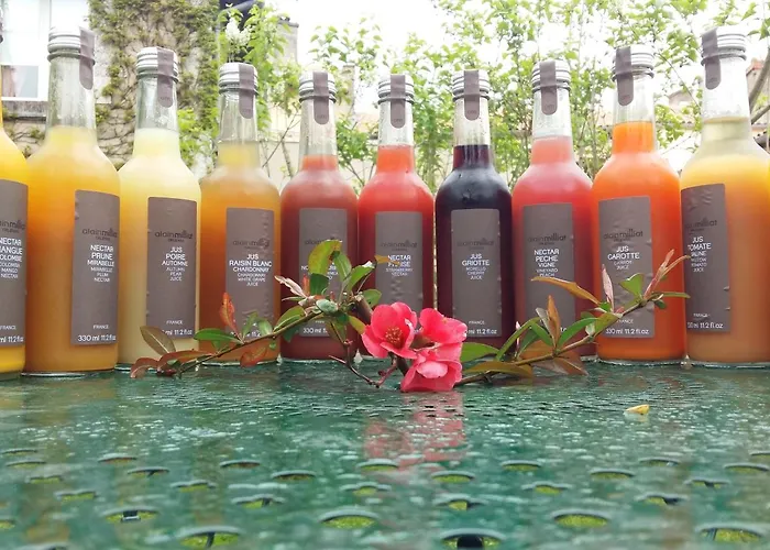 Logis Le Centre Poitou Hotel 3*